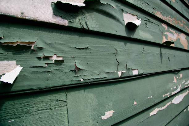 Best Commercial Junk Removal  in Manorhaven, NY